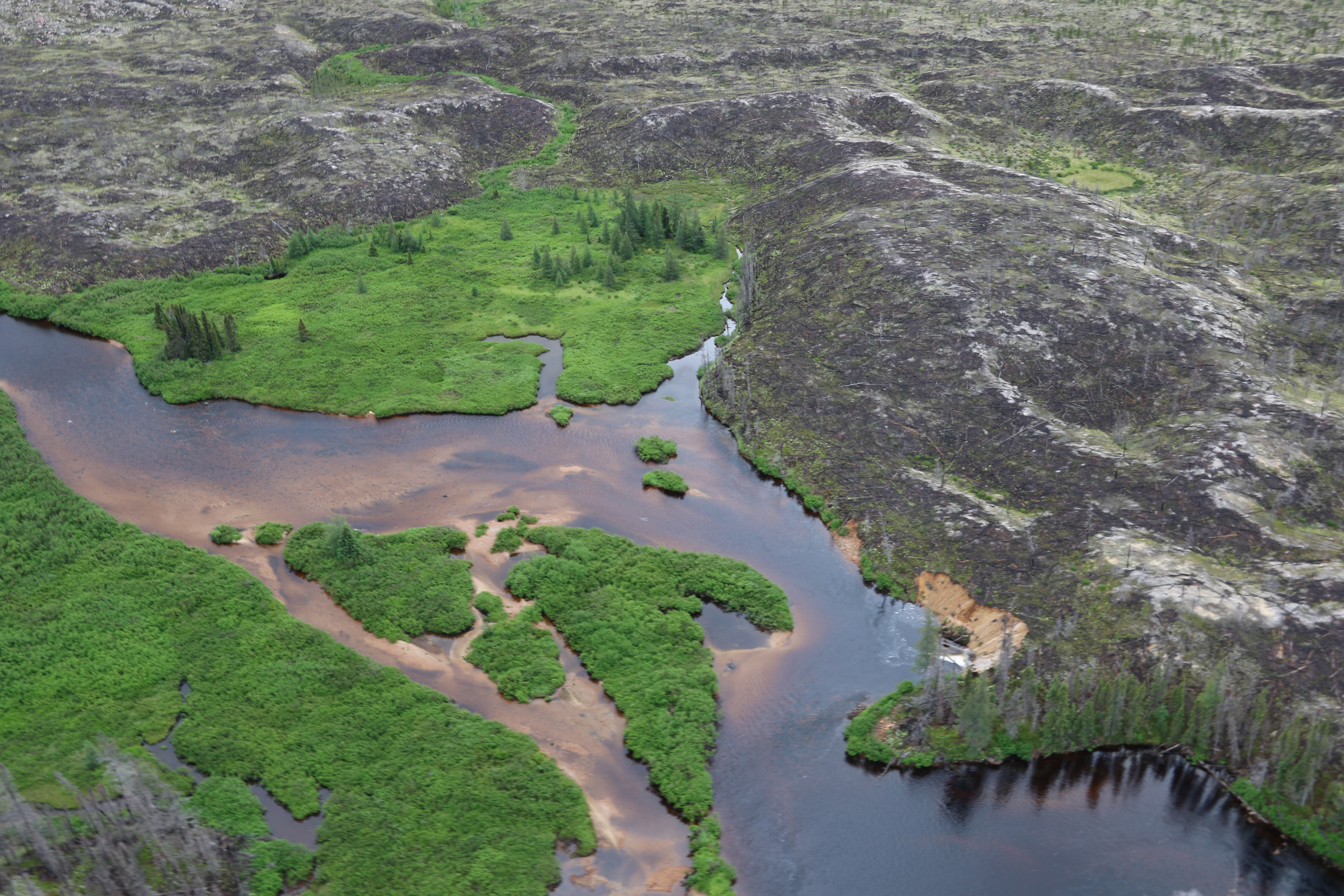 National Park of Nibiischii