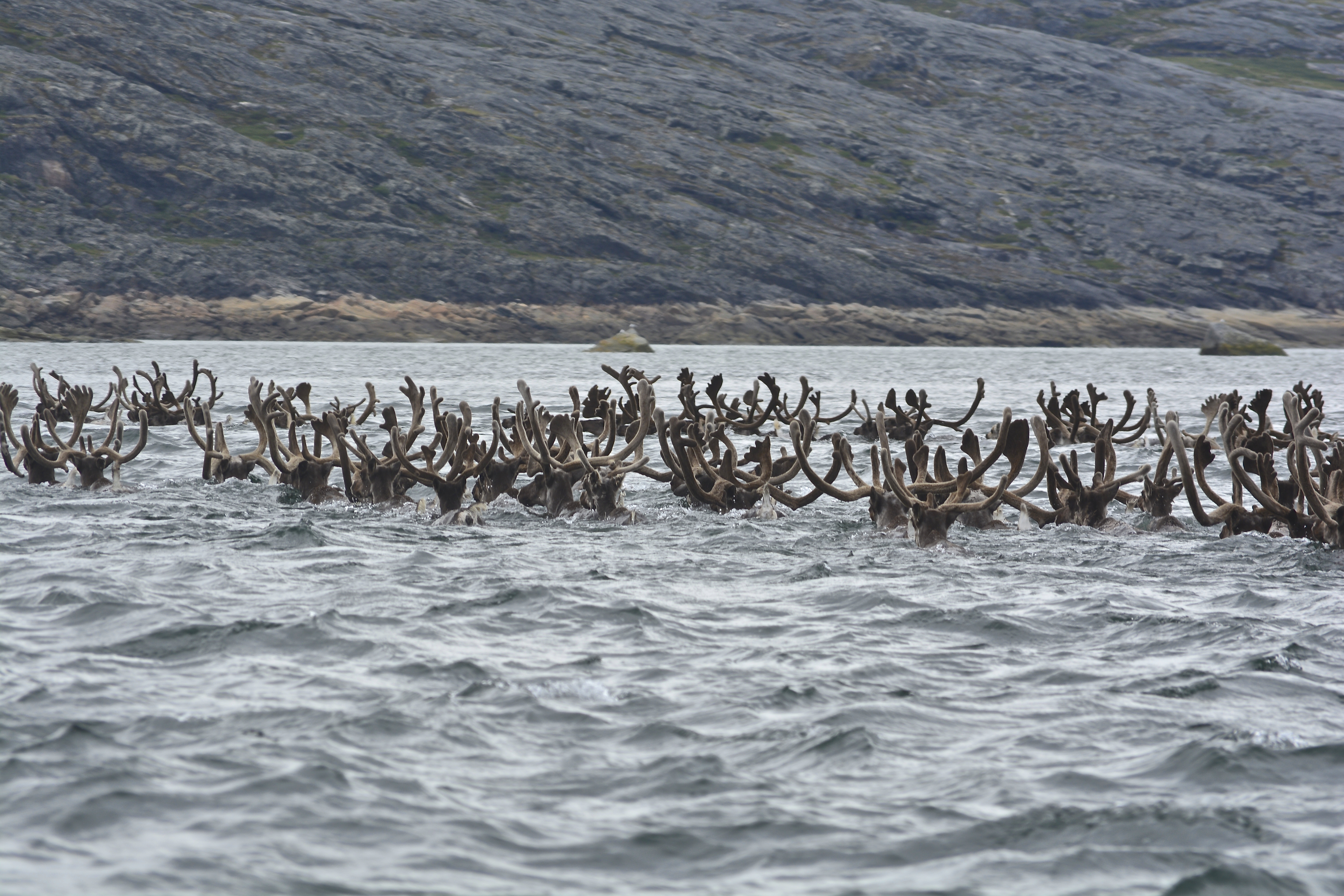 Arctic Adventures - Payne River Fishing Camp